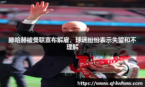 中欧体育
