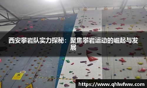 中欧体育